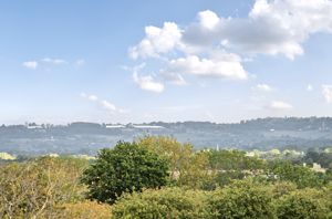 Photo 24- click for photo gallery